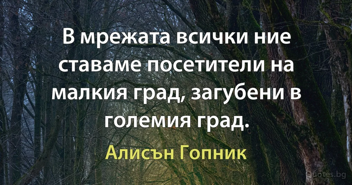 В мрежата всички ние ставаме посетители на малкия град, загубени в големия град. (Алисън Гопник)