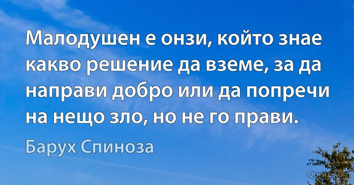 Малодушен е онзи, който знае какво решение да вземе, за да направи добро или да попречи на нещо зло, но не го прави. (Барух Спиноза)