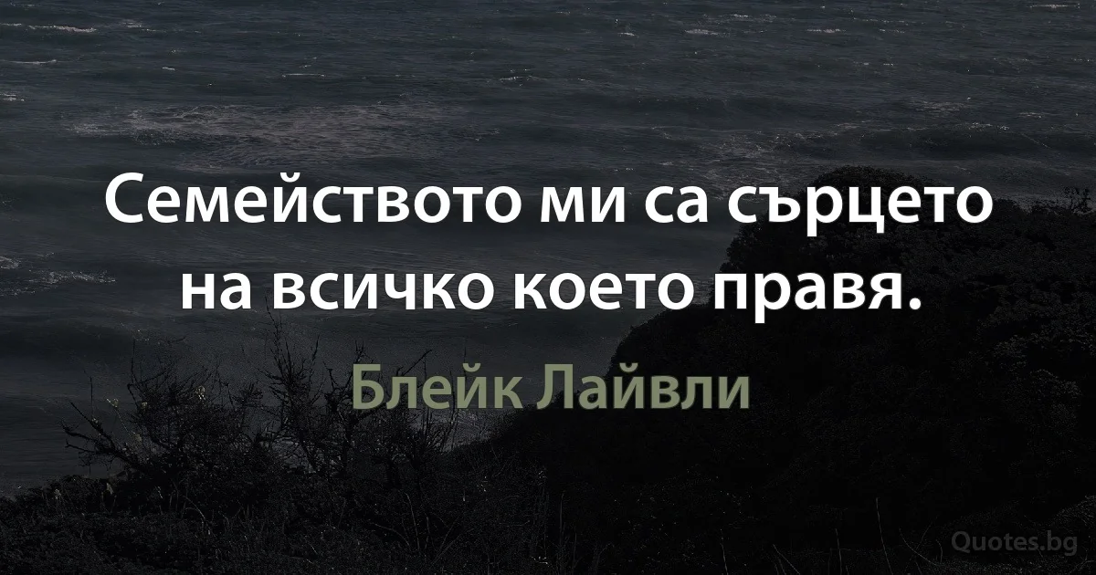 Семейството ми са сърцето на всичко което правя. (Блейк Лайвли)