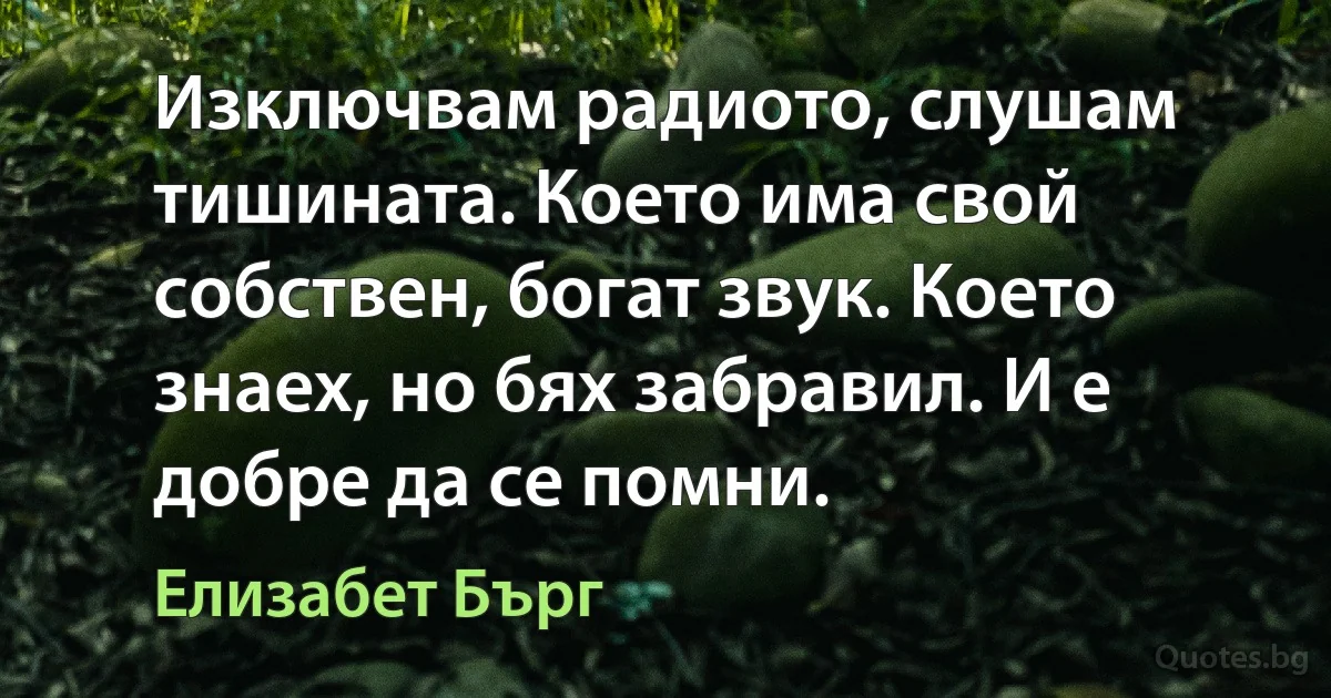 Изключвам радиото, слушам тишината. Което има свой собствен, богат звук. Което знаех, но бях забравил. И е добре да се помни. (Елизабет Бърг)