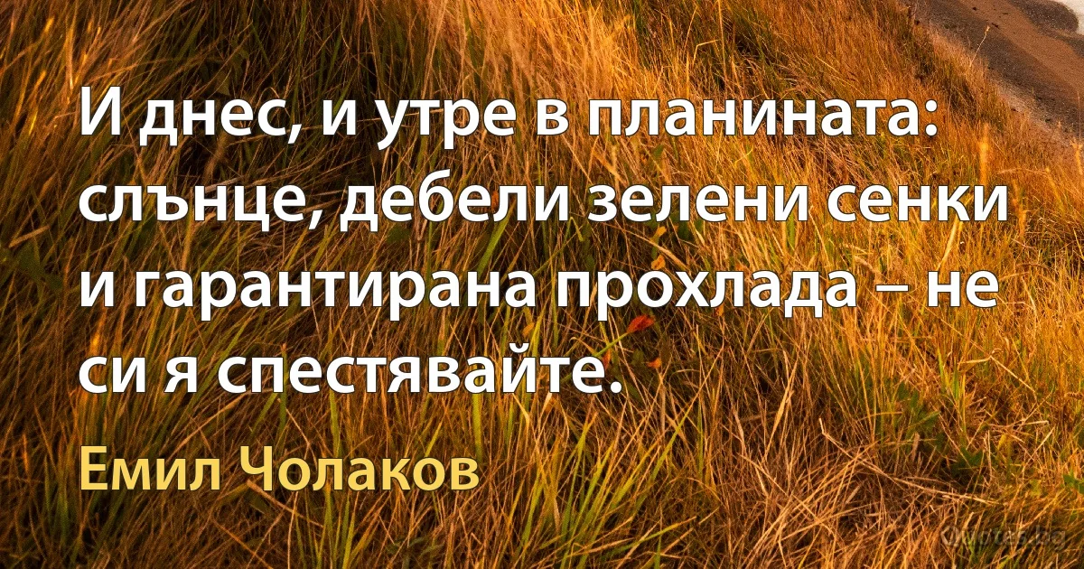 И днес, и утре в планината: слънце, дебели зелени сенки и гарантирана прохлада – не си я спестявайте. (Емил Чолаков)