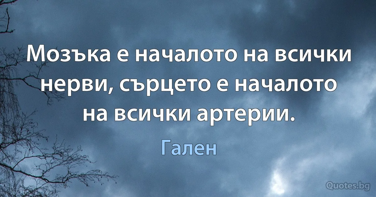 Мозъка е началото на всички нерви, сърцето е началото на всички артерии. (Гален)