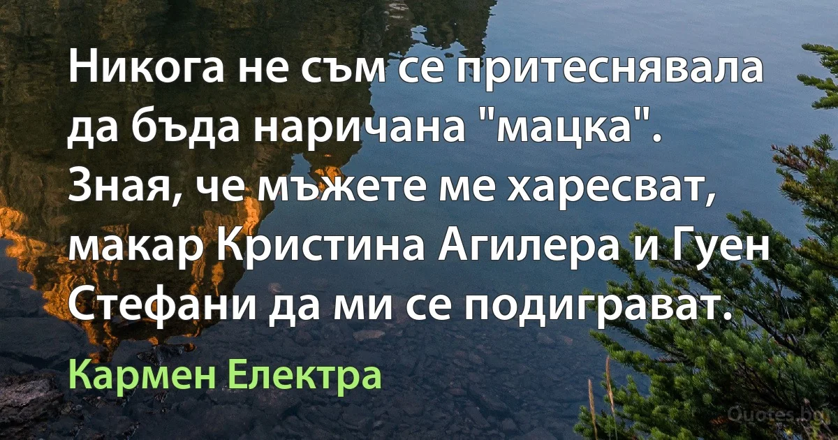 Никога не съм се притеснявала да бъда наричана "мацка". Зная, че мъжете ме харесват, макар Кристина Агилера и Гуен Стефани да ми се подиграват. (Кармен Електра)