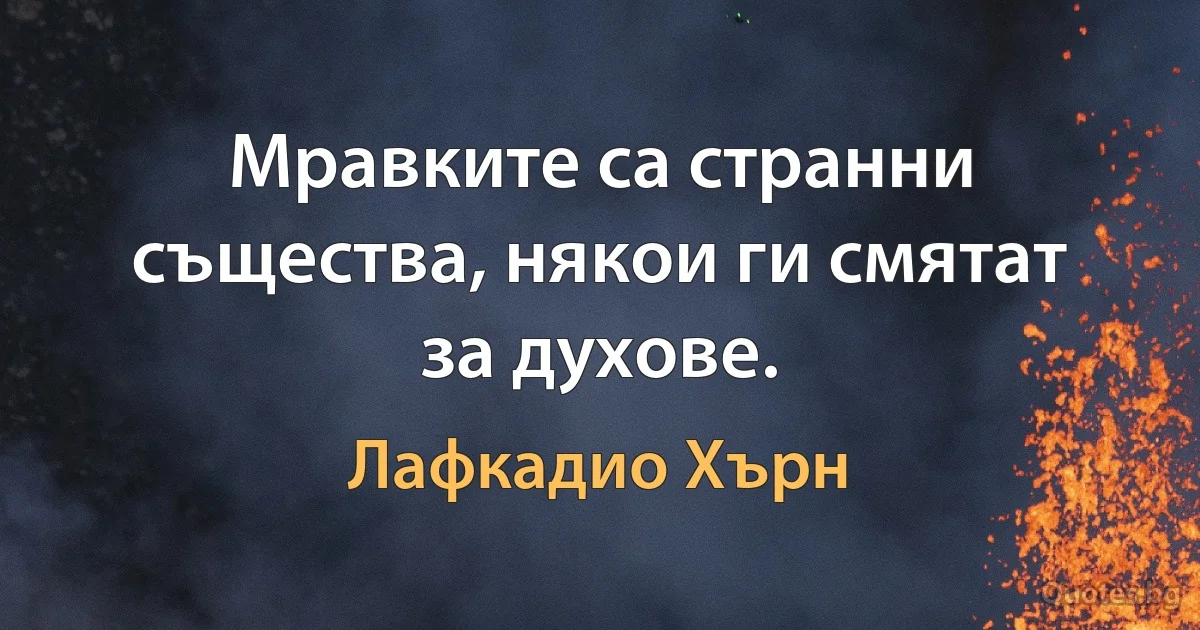 Мравките са странни същества, някои ги смятат за духове. (Лафкадио Хърн)