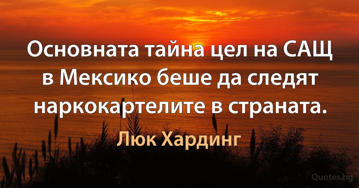 Основната тайна цел на САЩ в Мексико беше да следят наркокартелите в страната. (Люк Хардинг)