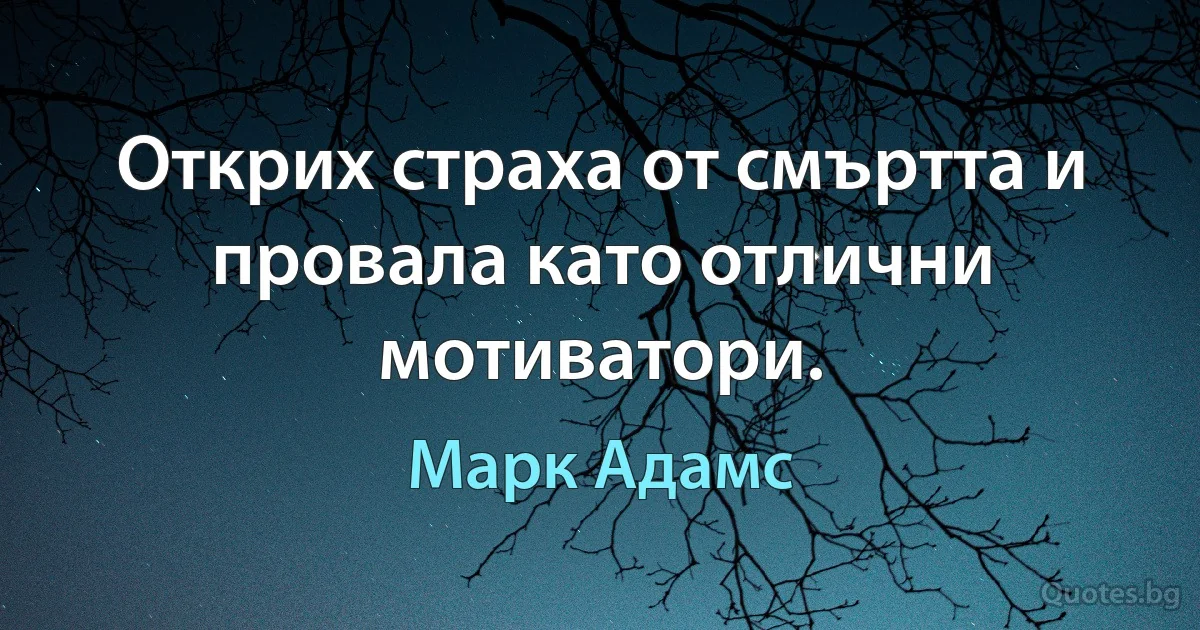 Открих страха от смъртта и провала като отлични мотиватори. (Марк Адамс)