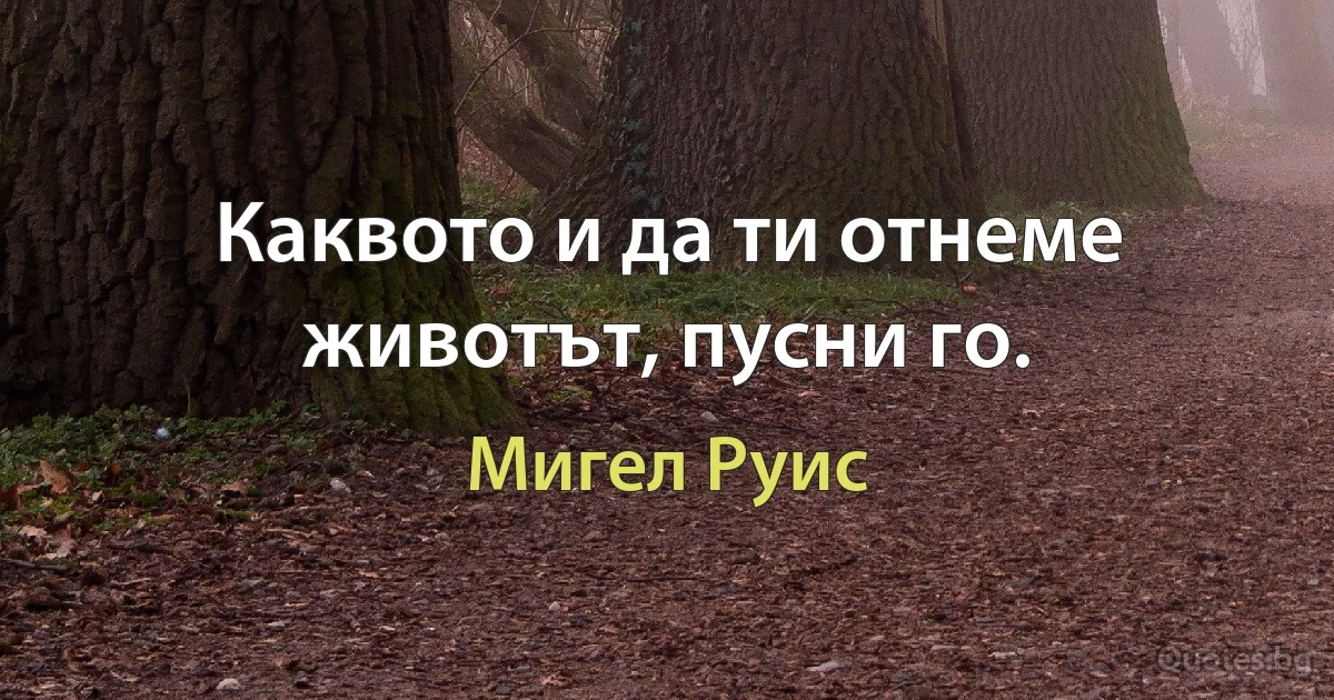 Каквото и да ти отнеме животът, пусни го. (Мигел Руис)