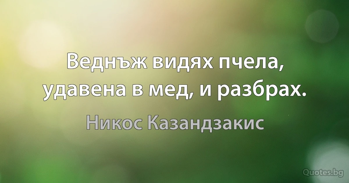 Веднъж видях пчела, удавена в мед, и разбрах. (Никос Казандзакис)