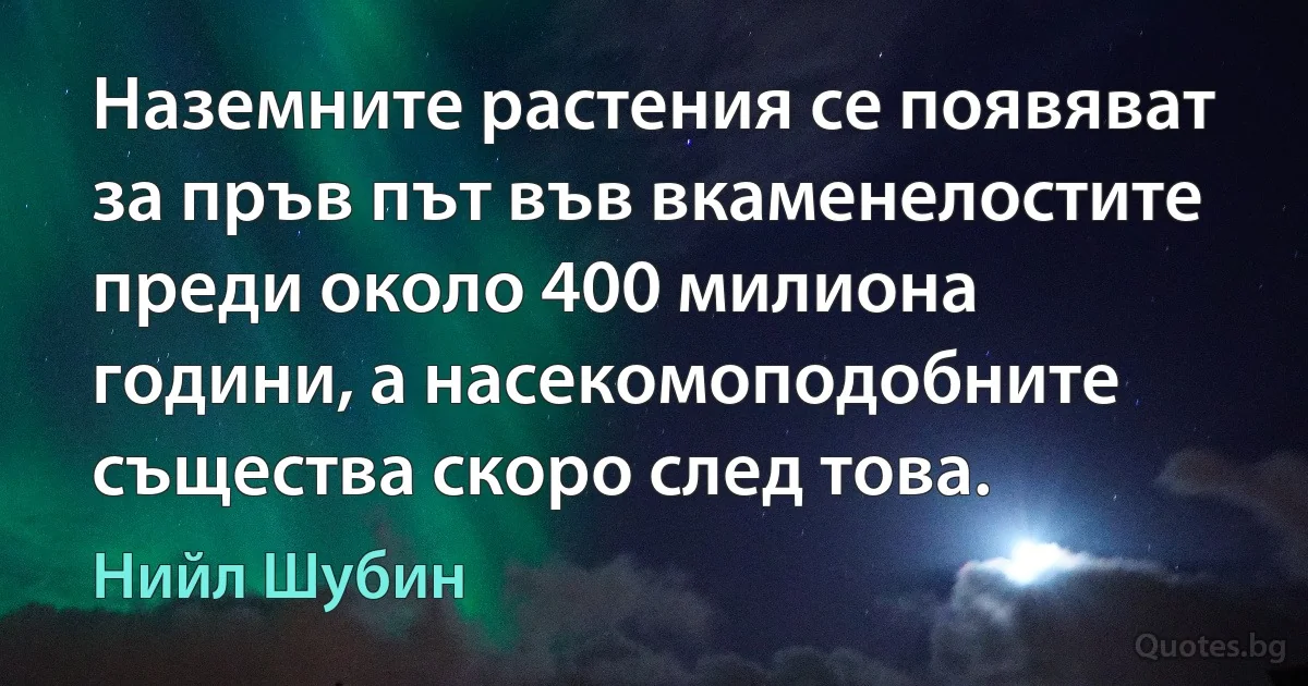 Наземните растения се появяват за пръв път във вкаменелостите преди около 400 милиона години, а насекомоподобните същества скоро след това. (Нийл Шубин)