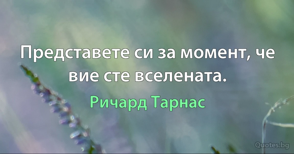 Представете си за момент, че вие сте вселената. (Ричард Тарнас)