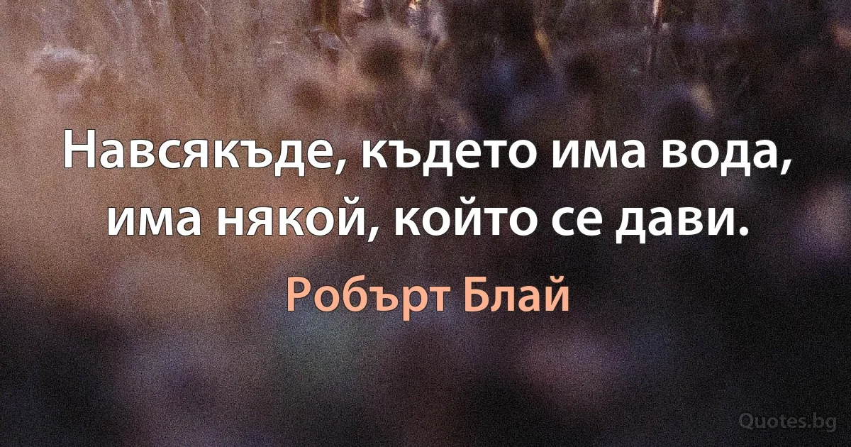 Навсякъде, където има вода, има някой, който се дави. (Робърт Блай)