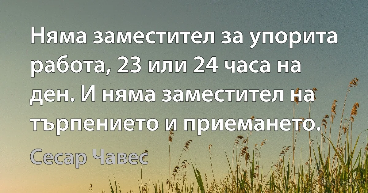 Няма заместител за упорита работа, 23 или 24 часа на ден. И няма заместител на търпението и приемането. (Сесар Чавес)