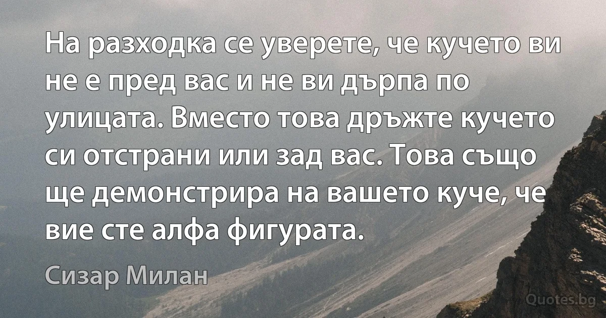 На разходка се уверете, че кучето ви не е пред вас и не ви дърпа по улицата. Вместо това дръжте кучето си отстрани или зад вас. Това също ще демонстрира на вашето куче, че вие сте алфа фигурата. (Сизар Милан)