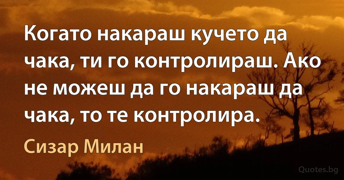 Когато накараш кучето да чака, ти го контролираш. Ако не можеш да го накараш да чака, то те контролира. (Сизар Милан)