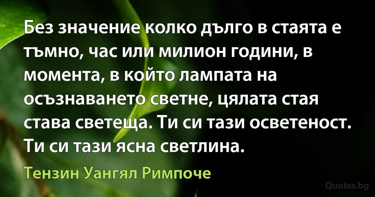 Без значение колко дълго в стаята е тъмно, час или милион години, в момента, в който лампата на осъзнаването светне, цялата стая става светеща. Ти си тази осветеност. Ти си тази ясна светлина. (Тензин Уангял Римпоче)