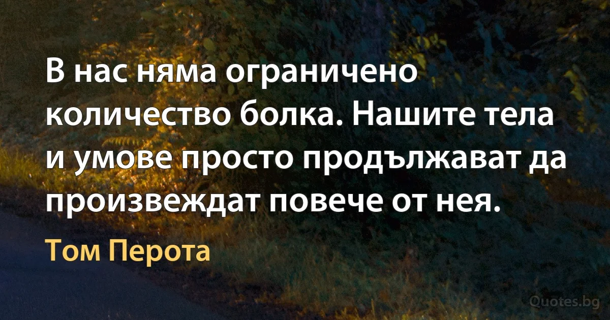 В нас няма ограничено количество болка. Нашите тела и умове просто продължават да произвеждат повече от нея. (Том Перота)