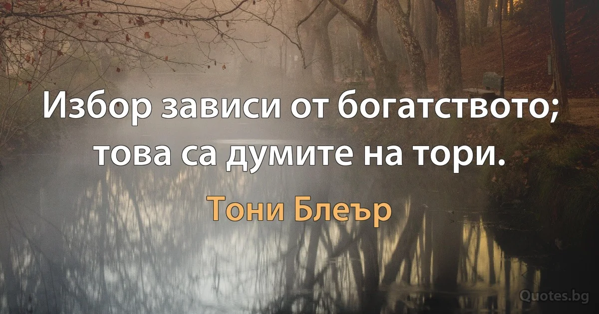 Избор зависи от богатството; това са думите на тори. (Тони Блеър)