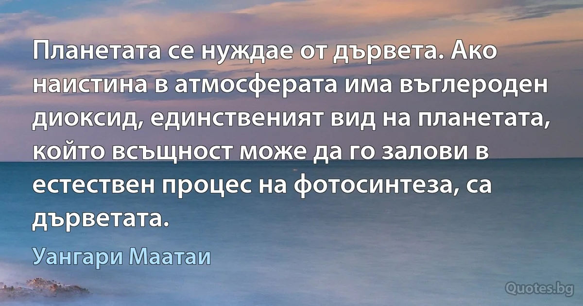 Планетата се нуждае от дървета. Ако наистина в атмосферата има въглероден диоксид, единственият вид на планетата, който всъщност може да го залови в естествен процес на фотосинтеза, са дърветата. (Уангари Маатаи)