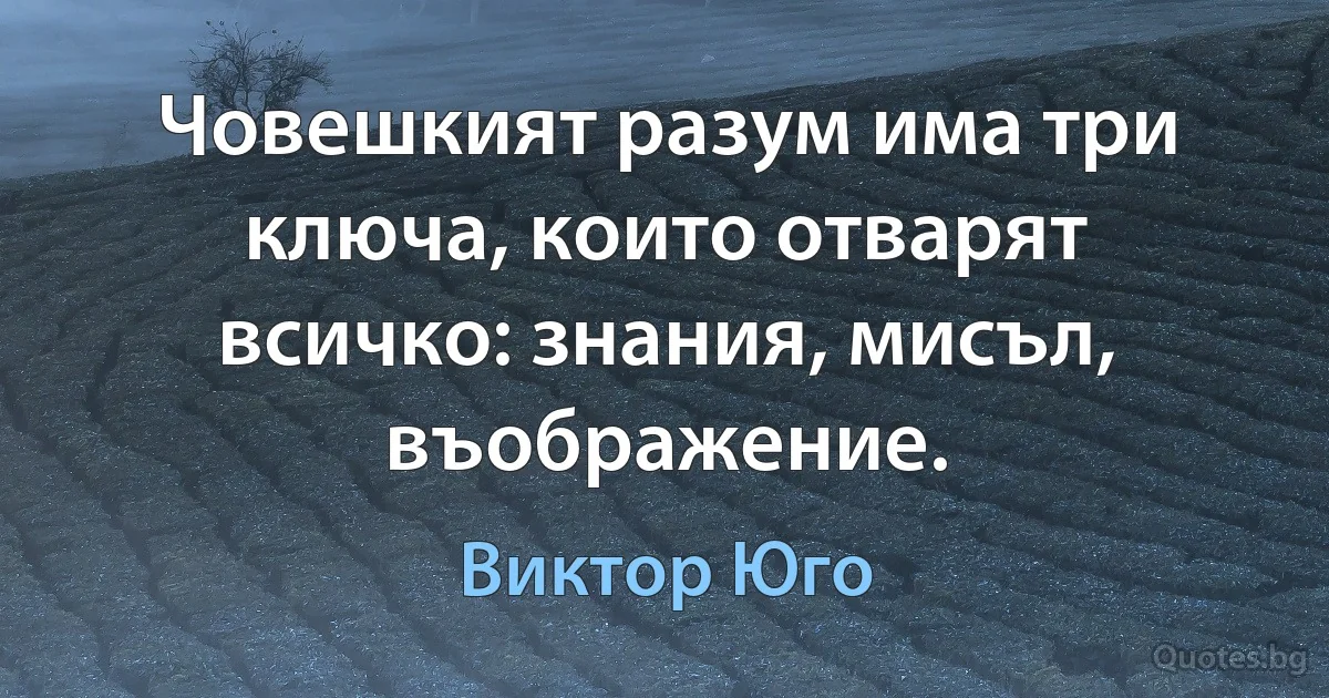 Човешкият разум има три ключа, които отварят всичко: знания, мисъл, въображение. (Виктор Юго)