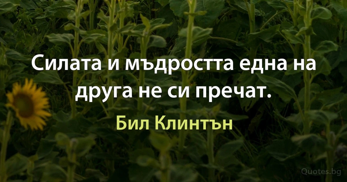 Силата и мъдростта една на друга не си пречат. (Бил Клинтън)