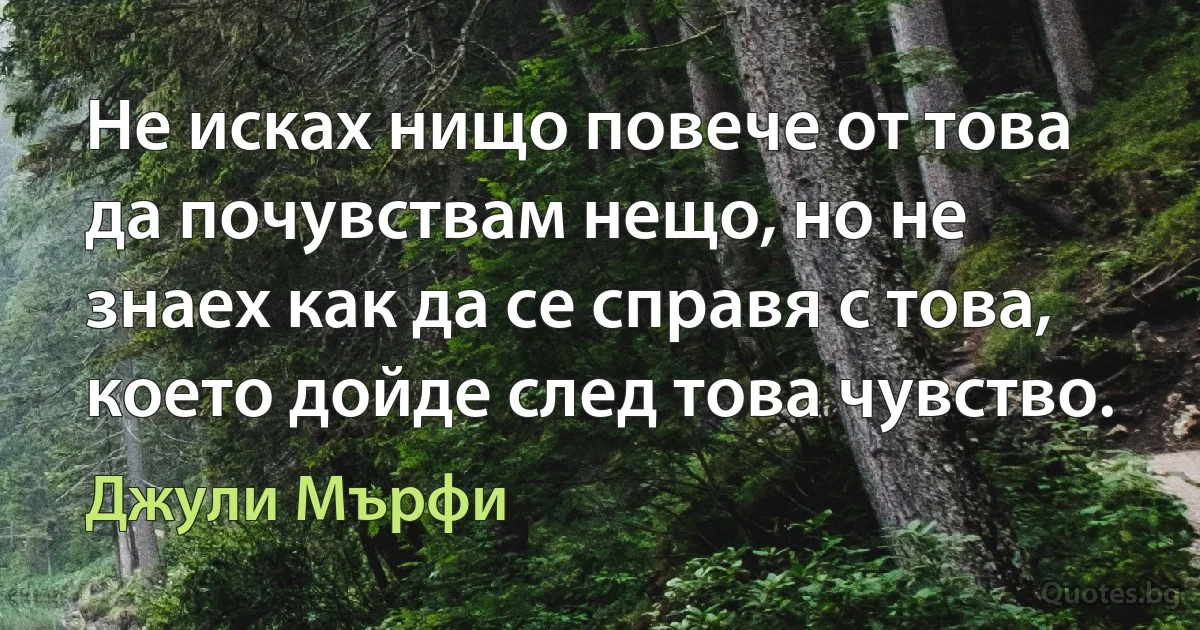 Не исках нищо повече от това да почувствам нещо, но не знаех как да се справя с това, което дойде след това чувство. (Джули Мърфи)