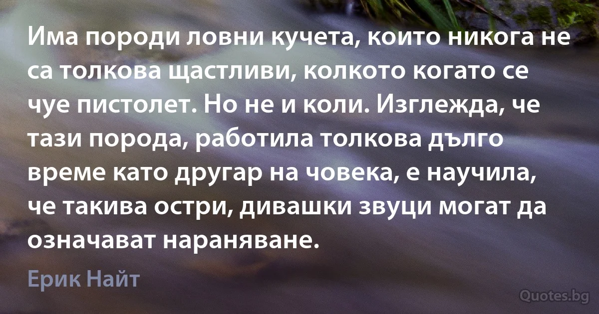 Има породи ловни кучета, които никога не са толкова щастливи, колкото когато се чуе пистолет. Но не и коли. Изглежда, че тази порода, работила толкова дълго време като другар на човека, е научила, че такива остри, дивашки звуци могат да означават нараняване. (Ерик Найт)