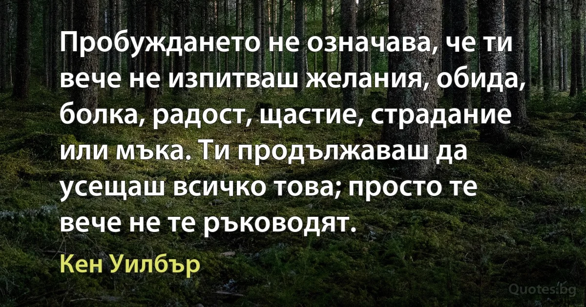 Пробуждането не означава, че ти вече не изпитваш желания, обида, болка, радост, щастие, страдание или мъка. Ти продължаваш да усещаш всичко това; просто те вече не те ръководят. (Кен Уилбър)