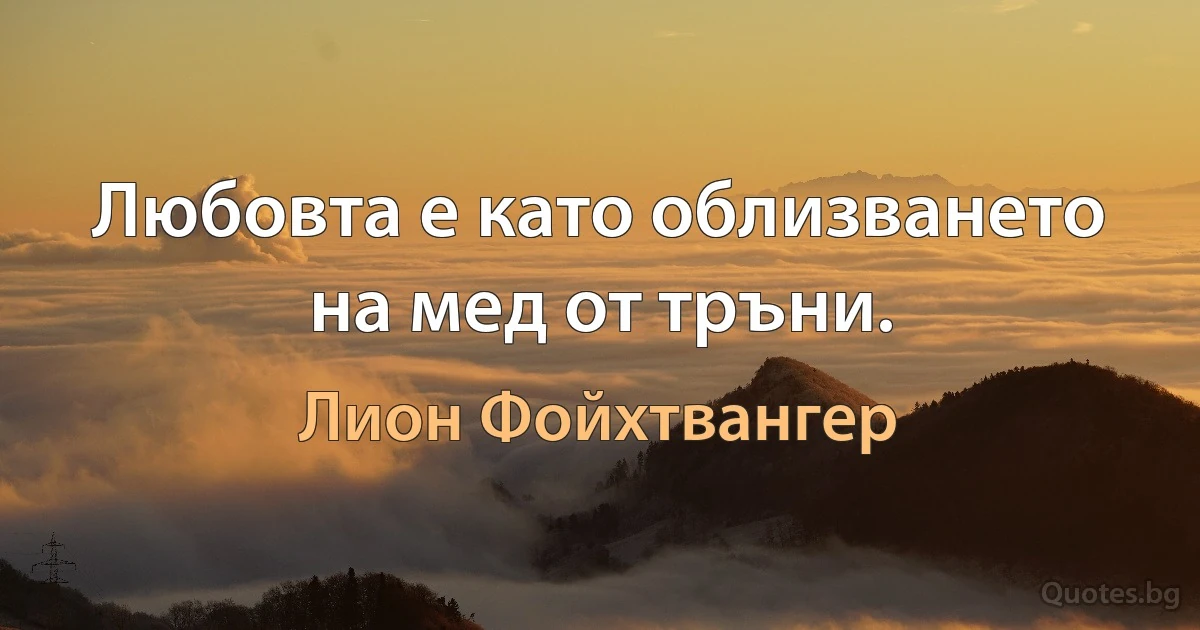 Любовта е като облизването на мед от тръни. (Лион Фойхтвангер)