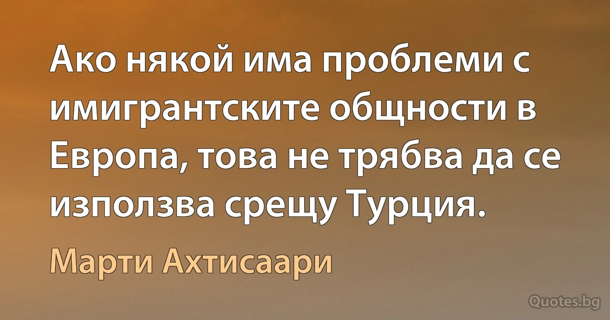 Ако някой има проблеми с имигрантските общности в Европа, това не трябва да се използва срещу Турция. (Марти Ахтисаари)