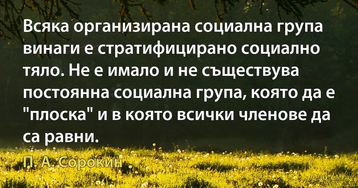 Всяка организирана социална група винаги е стратифицирано социално тяло. Не е имало и не съществува постоянна социална група, която да е "плоска" и в която всички членове да са равни. (П. А. Сорокин)