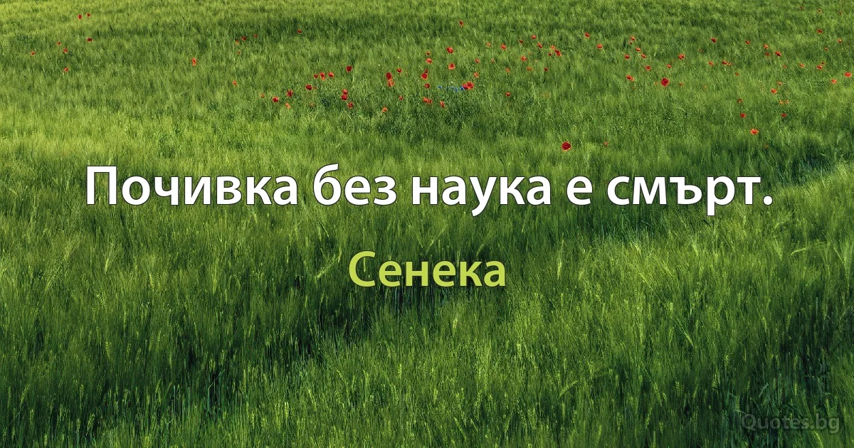 Почивка без наука е смърт. (Сенека)