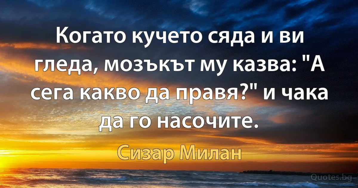 Когато кучето сяда и ви гледа, мозъкът му казва: "А сега какво да правя?" и чака да го насочите. (Сизар Милан)