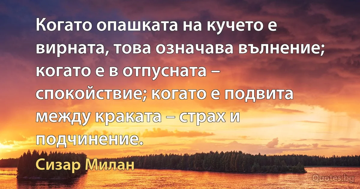 Когато опашката на кучето е вирната, това означава вълнение; когато е в отпусната – спокойствие; когато е подвита между краката – страх и подчинение. (Сизар Милан)