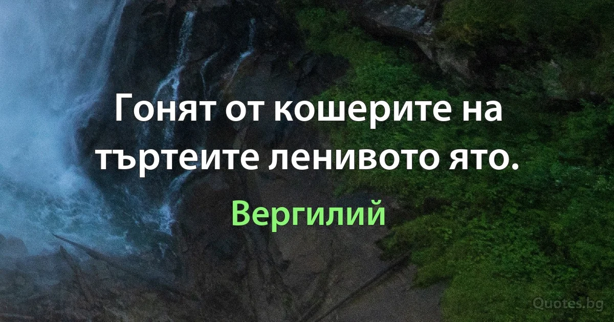 Гонят от кошерите на търтеите ленивото ято. (Вергилий)