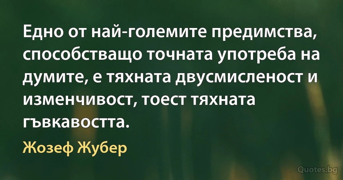 Едно от най-големите предимства, способстващо точната употреба на думите, е тяхната двусмисленост и изменчивост, тоест тяхната гъвкавостта. (Жозеф Жубер)