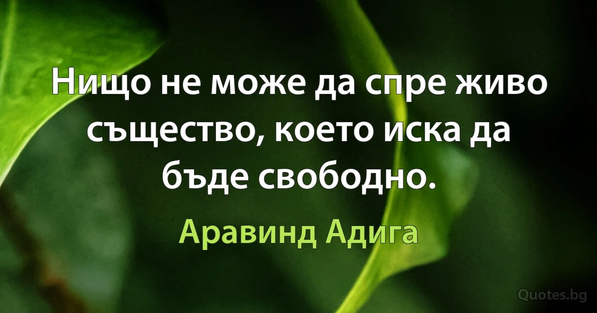 Нищо не може да спре живо същество, което иска да бъде свободно. (Аравинд Адига)