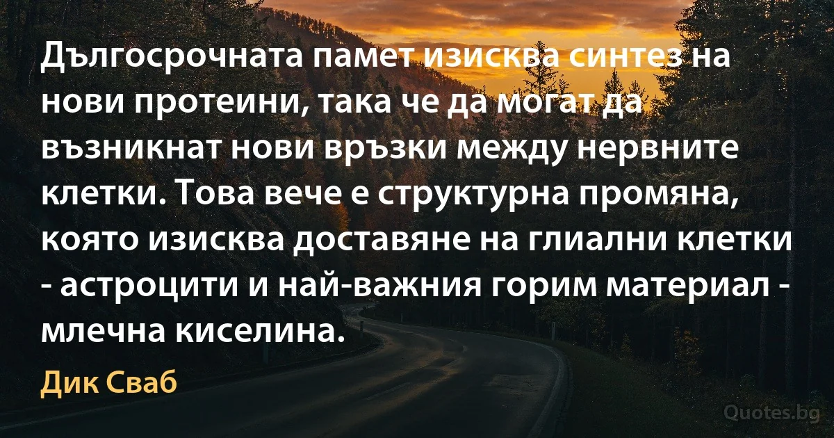 Дългосрочната памет изисква синтез на нови протеини, така че да могат да възникнат нови връзки между нервните клетки. Това вече е структурна промяна, която изисква доставяне на глиални клетки - астроцити и най-важния горим материал - млечна киселина. (Дик Сваб)