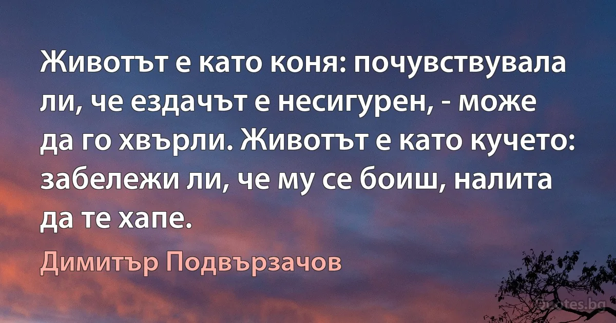 Животът е като коня: почувствувала ли, че ездачът е несигурен, - може да го хвърли. Животът е като кучето: забележи ли, че му се боиш, налита да те хапе. (Димитър Подвързачов)