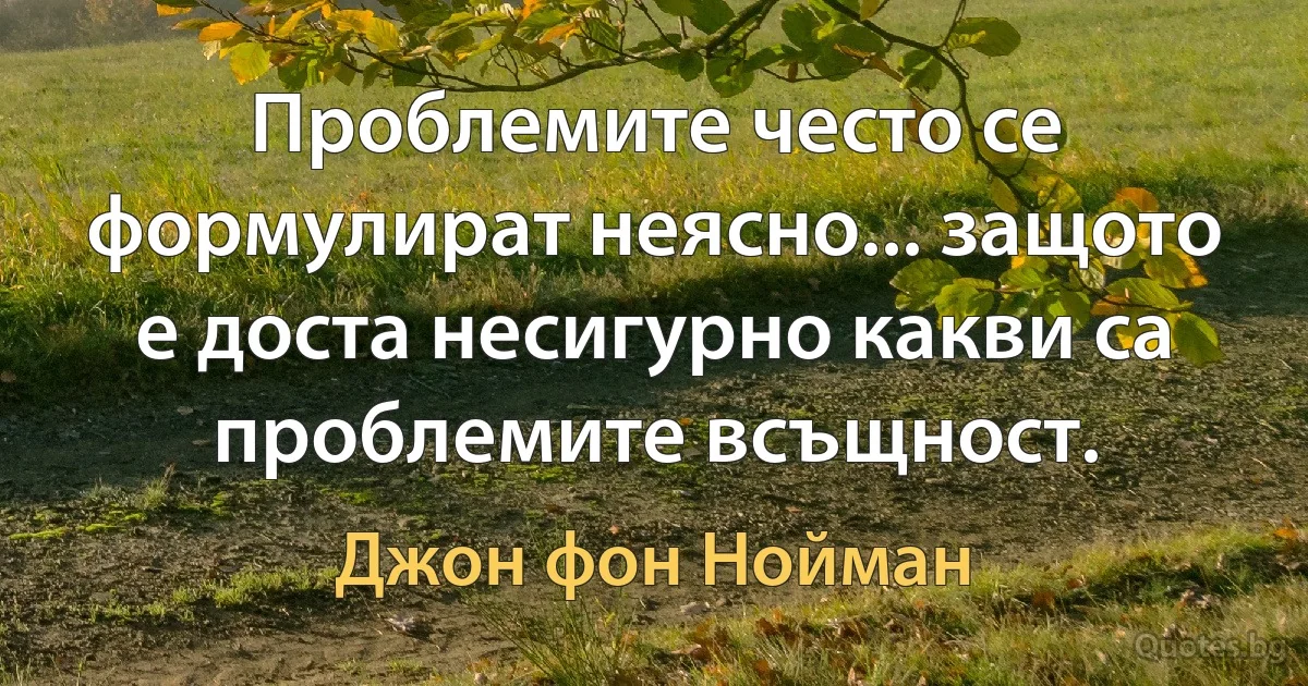 Проблемите често се формулират неясно... защото е доста несигурно какви са проблемите всъщност. (Джон фон Нойман)