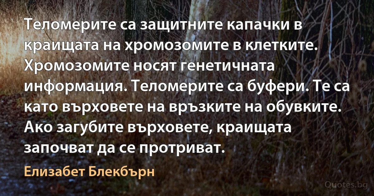 Теломерите са защитните капачки в краищата на хромозомите в клетките. Хромозомите носят генетичната информация. Теломерите са буфери. Те са като върховете на връзките на обувките. Ако загубите върховете, краищата започват да се протриват. (Елизабет Блекбърн)