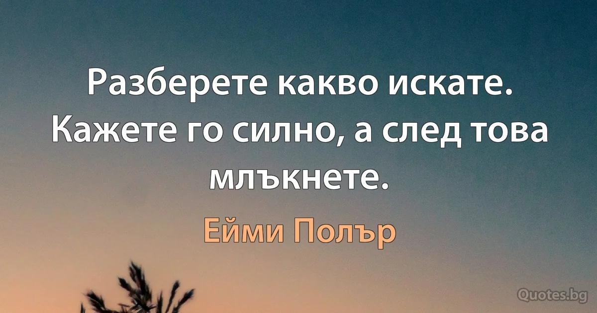 Разберете какво искате. Кажете го силно, а след това млъкнете. (Ейми Полър)