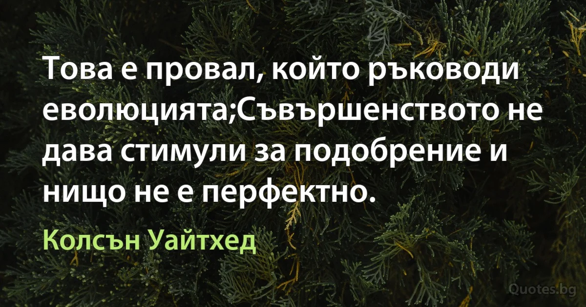 Това е провал, който ръководи еволюцията;Съвършенството не дава стимули за подобрение и нищо не е перфектно. (Колсън Уайтхед)