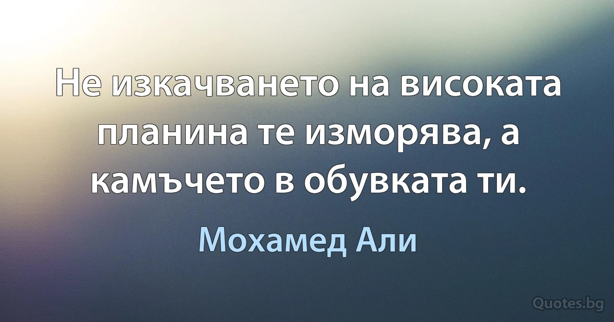 Не изкачването на високата планина те изморява, а камъчето в обувката ти. (Мохамед Али)