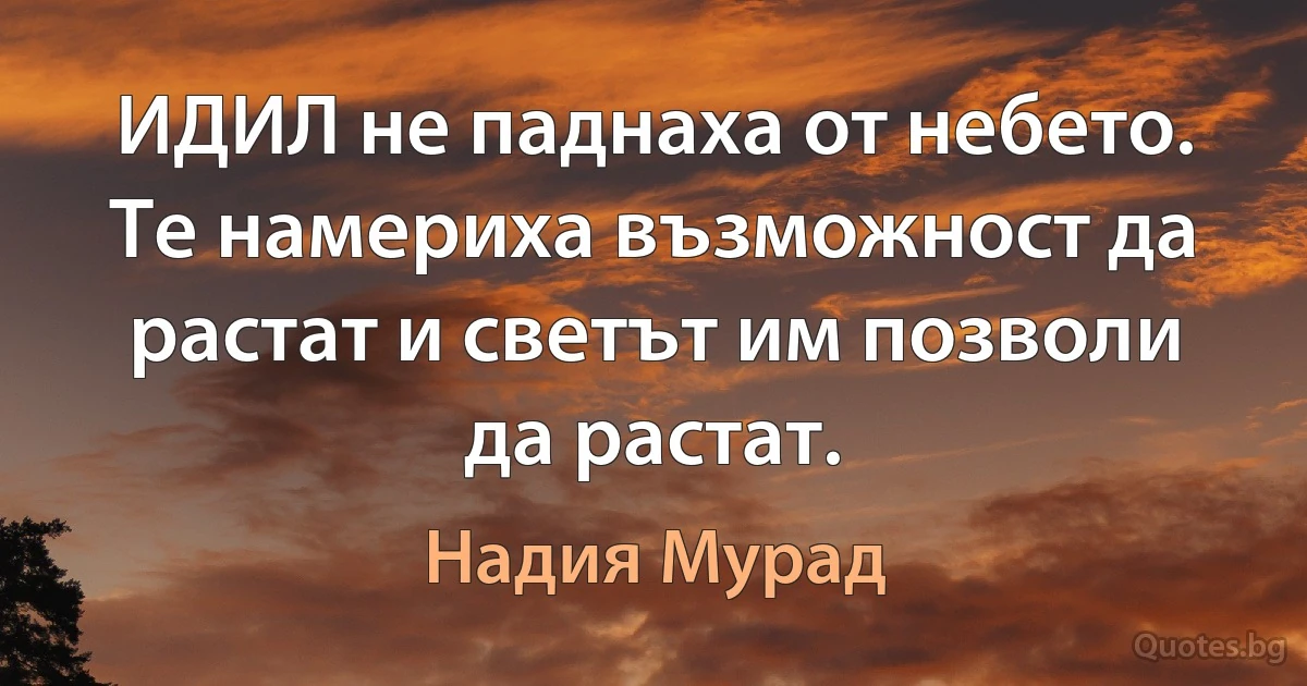 ИДИЛ не паднаха от небето. Те намериха възможност да растат и светът им позволи да растат. (Надия Мурад)