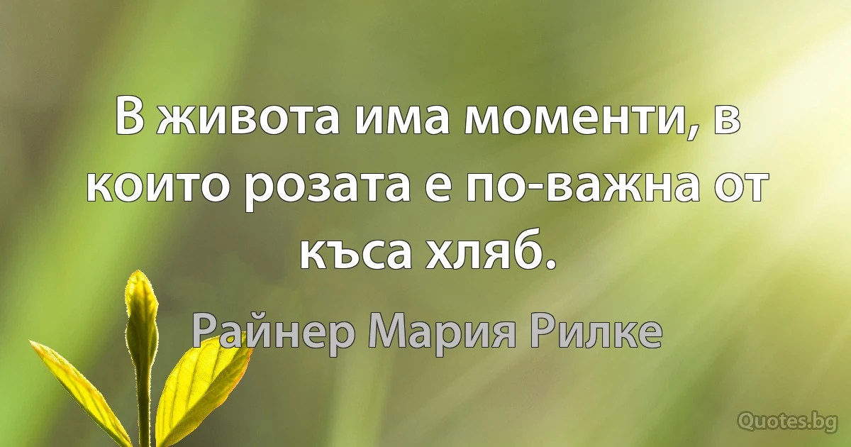 В живота има моменти, в които розата е по-важна от къса хляб. (Райнер Мария Рилке)