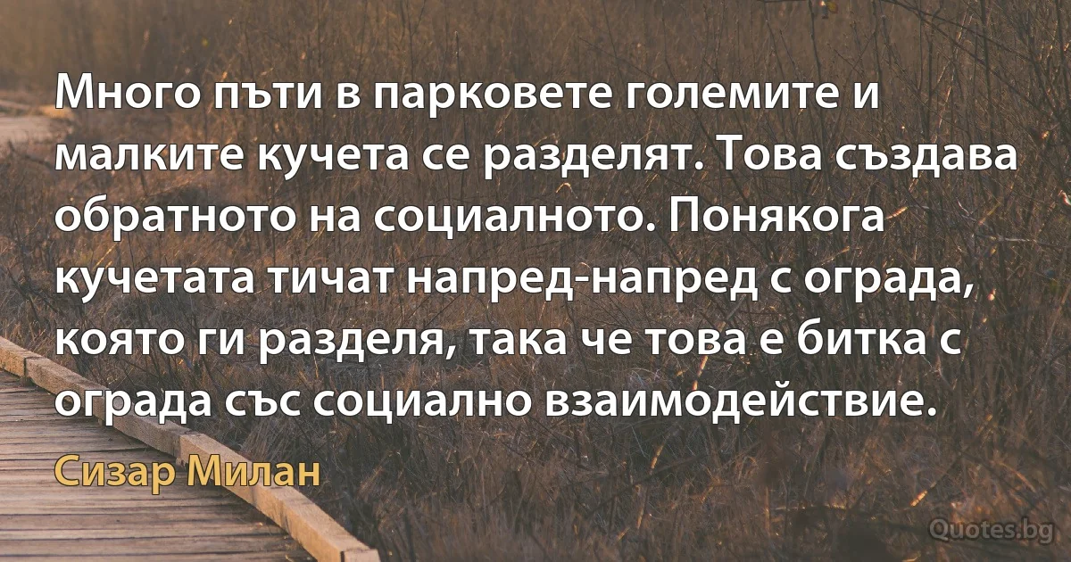 Много пъти в парковете големите и малките кучета се разделят. Това създава обратното на социалното. Понякога кучетата тичат напред-напред с ограда, която ги разделя, така че това е битка с ограда със социално взаимодействие. (Сизар Милан)