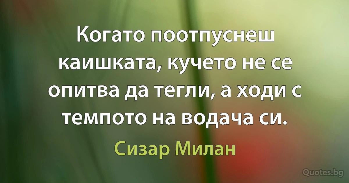 Когато поотпуснеш каишката, кучето не се опитва да тегли, а ходи с темпото на водача си. (Сизар Милан)