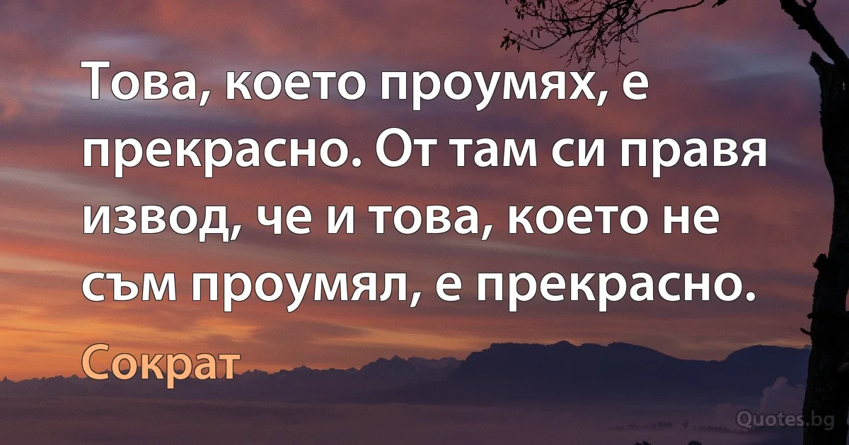 Това, което проумях, е прекрасно. От там си правя извод, че и това, което не съм проумял, е прекрасно. (Сократ)