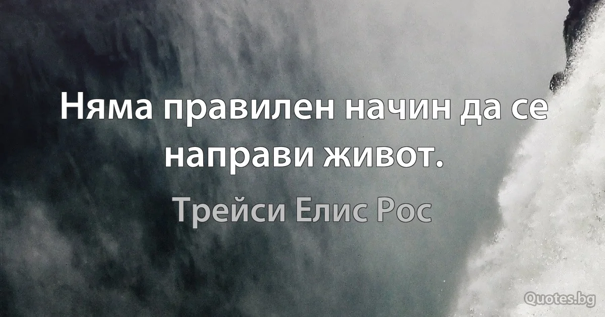 Няма правилен начин да се направи живот. (Трейси Елис Рос)