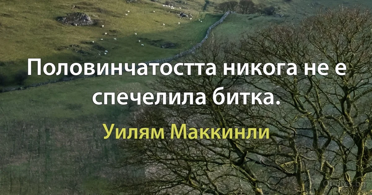 Половинчатостта никога не е спечелила битка. (Уилям Маккинли)